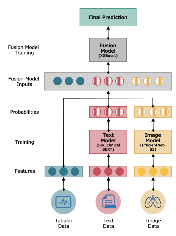 fusion image